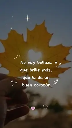 No hay belleza 