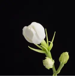 <3