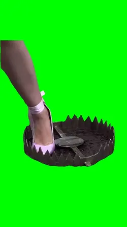 Bear trap meme