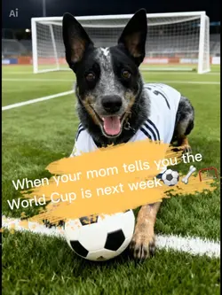 🏆⚽️World Pup 2026