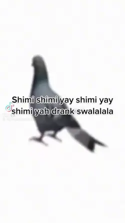 Bird spinning