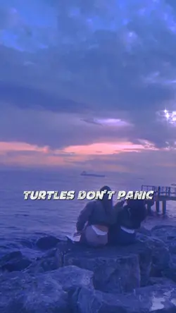 Turtle theory