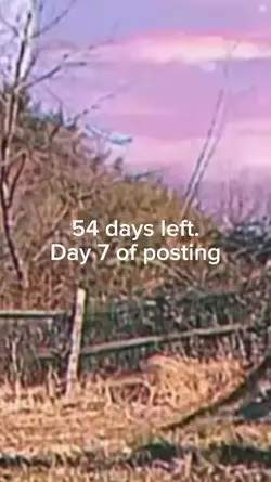 countdown day 8