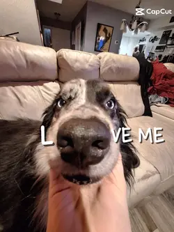 L __ ve meeee