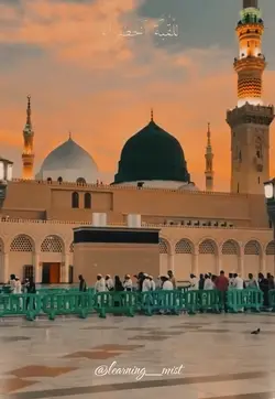 Qalbi fil madina