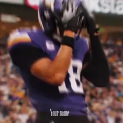 Viking fans edit