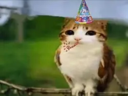 meowl edit