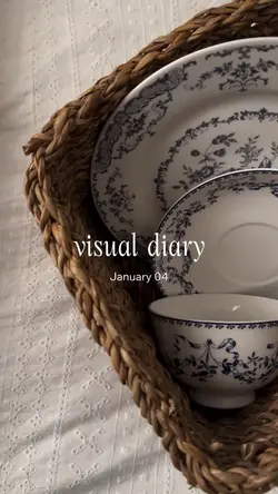 Visual diary 