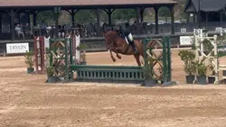 Horse edits 