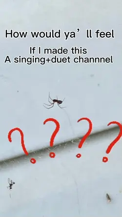 Singing+duets?