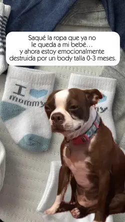 Crying dog