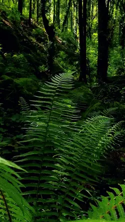 Nature vibes 
