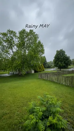 Rainy MAY 🌧️