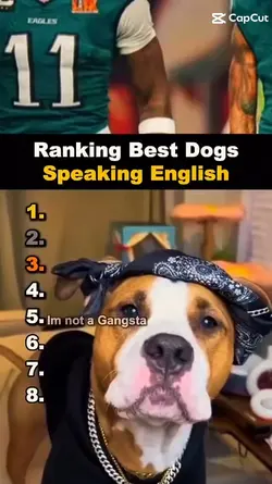 dog talking