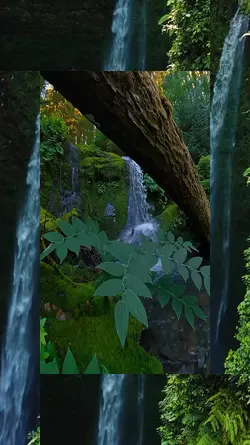 17 video or photo 