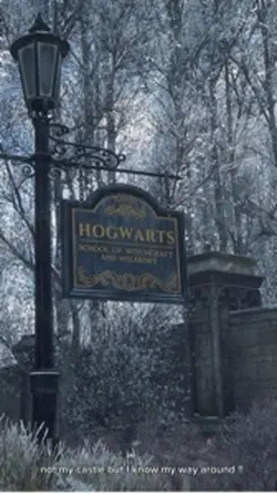 harry potter!!