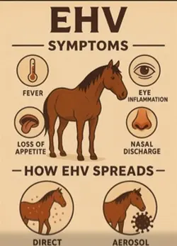 Stay safe 