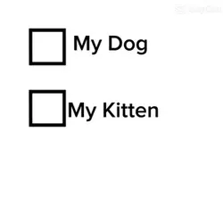 KITTEN