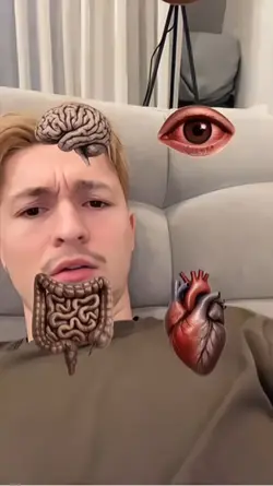 Food for organs IQ