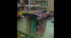 That stupid rabbit