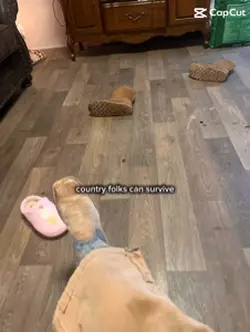 God