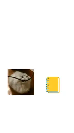 what a cool journal