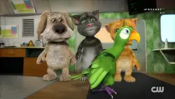 The CW Channel