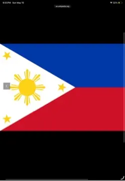 Flag edit