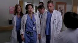 greys anatomy edit