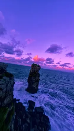 8 videos photos 