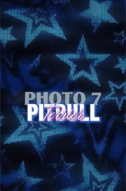 Pit bull Edit 🔥