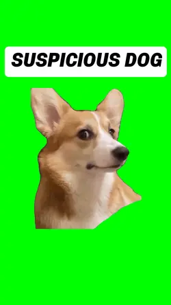 SUSPICIOUS DOG