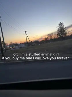 stuffed animal girl