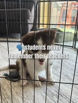 teachers 🥹