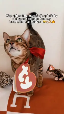 Halloween costume 