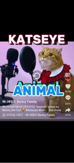 Katseye animal