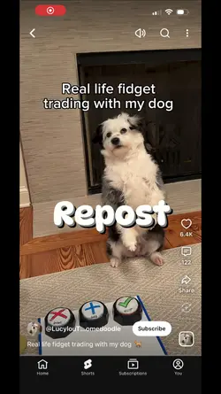 Fidget tradeing