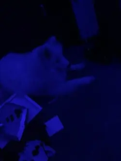 Huh whos dat ..?