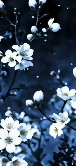 3D wallpaper 