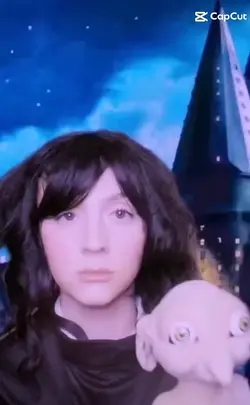 Harry Potter vid