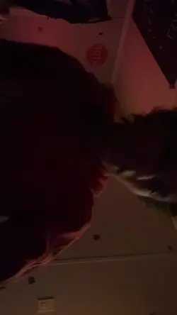 Add 22 clips