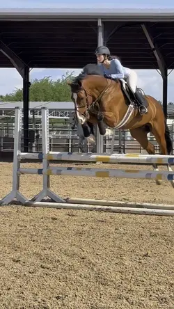 Horse slomo🤩🩵