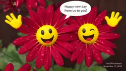 #flowers 