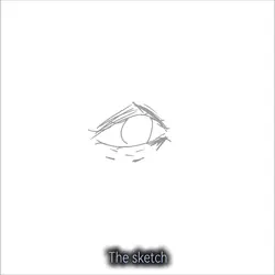 Sketch vs result