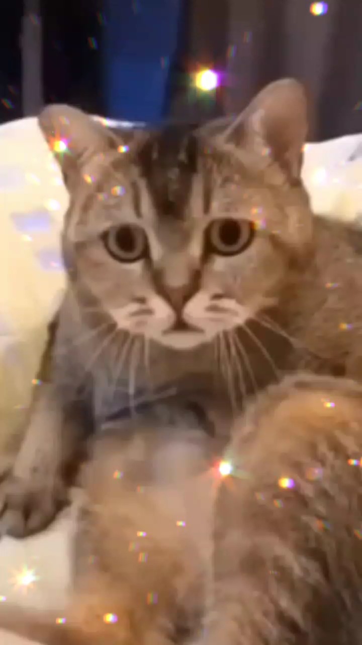 # lucuhaha