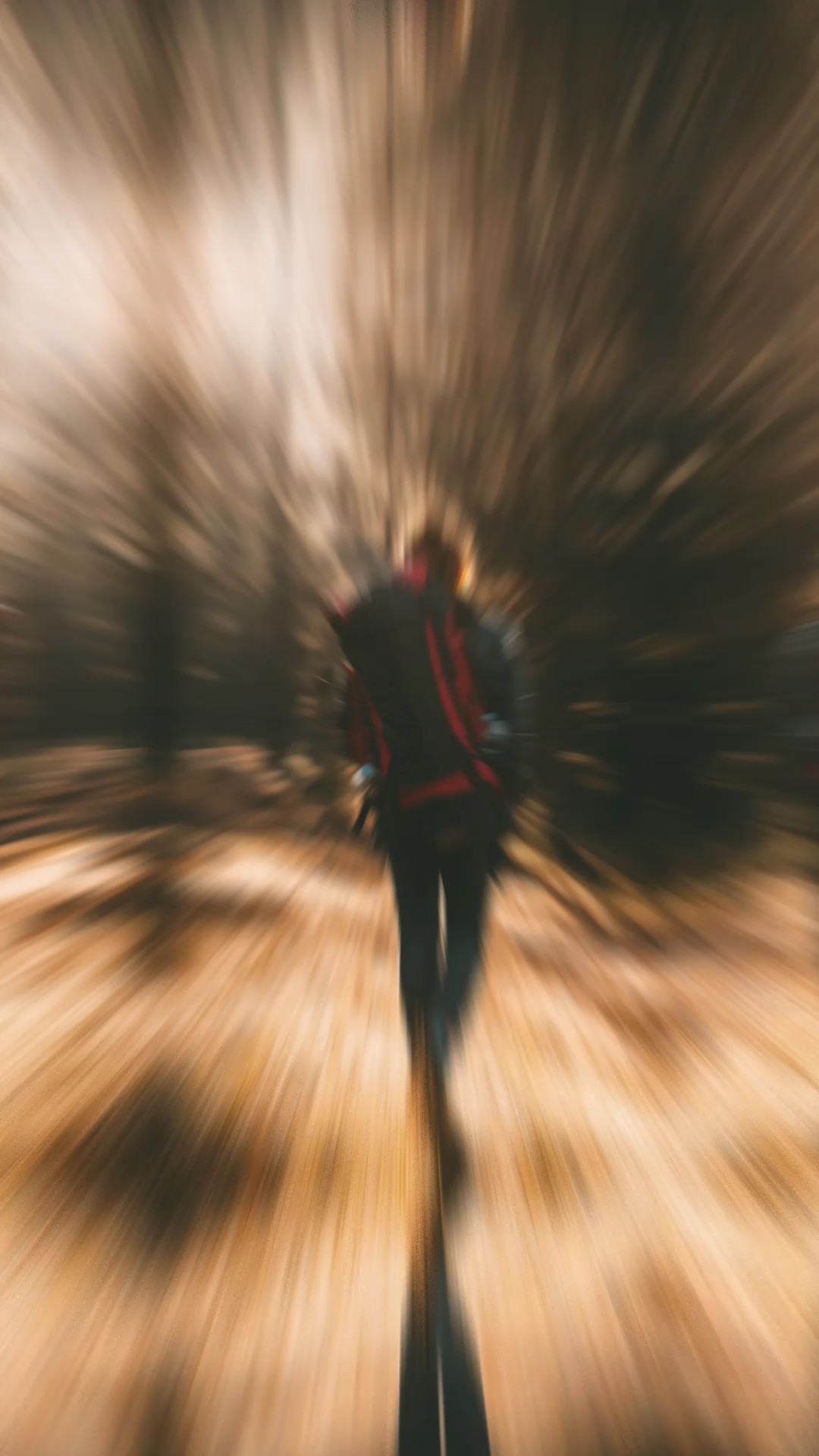 23 Foto Transisi