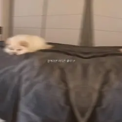 상상더하기