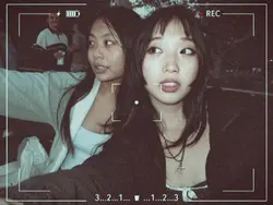 aesthetics