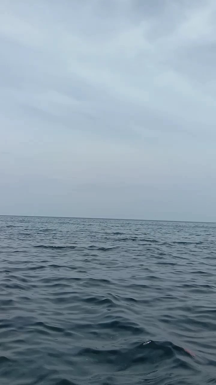 Deniz