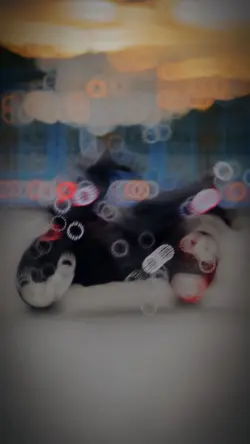 5video/ nhẹ nhàng